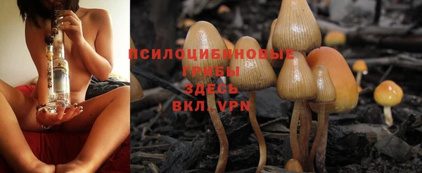 первитин Лиски