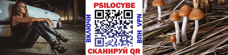 Псилоцибиновые грибы GOLDEN TEACHER  Купить где  Барнаул 